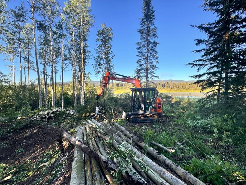 Harvester working among standing trees with processed timber in the foreground