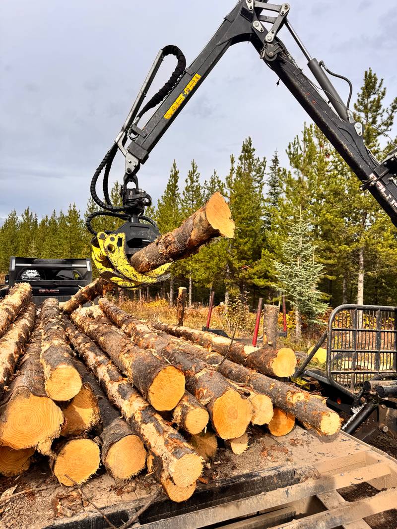 Grapple loading cut timber onto a forwarder